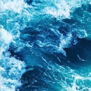 Meet your Posher, Stephany